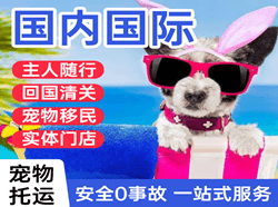 锡林浩特机场空运国际宠物托运 【国